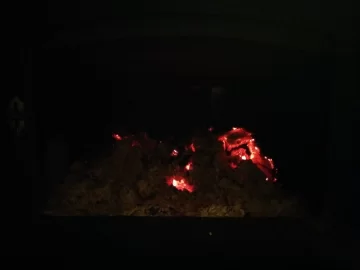 [Hearth.com] Documenting our first night heating with wood