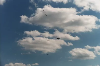 [Hearth.com] B-17 from roof