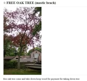 [Hearth.com] Craigslist laugh of the day.....