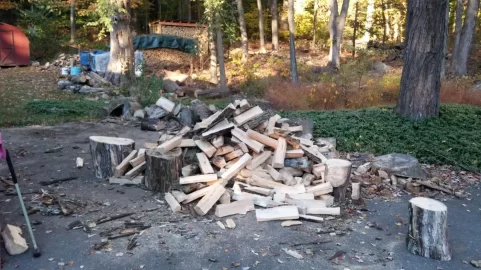 [Hearth.com] finally took down my biggest dead ash