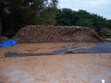 [Hearth.com] Wood Pile