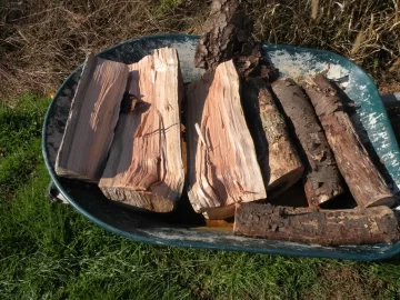 [Hearth.com] Wood ID from morning scrounge