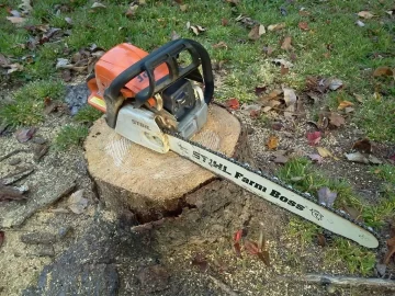 [Hearth.com] chainsaw recomendations