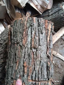 [Hearth.com] Wood score in da hood! ID help appreciated