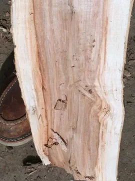 [Hearth.com] Wood score in da hood! ID help appreciated