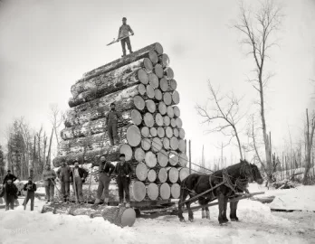 [Hearth.com] Truck load of logs