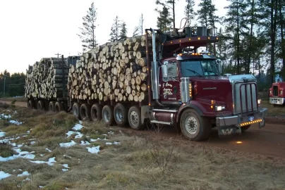 [Hearth.com] Truck load of logs