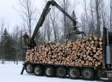 [Hearth.com] Truck load of logs