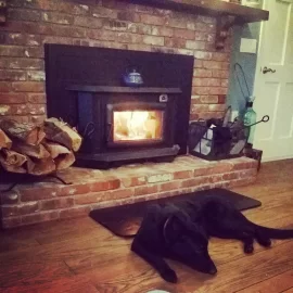 [Hearth.com] Guarding the wood piles!