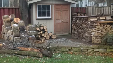 [Hearth.com] Emerald Ash Borer devastating our neighborhood trees - what to do with wood