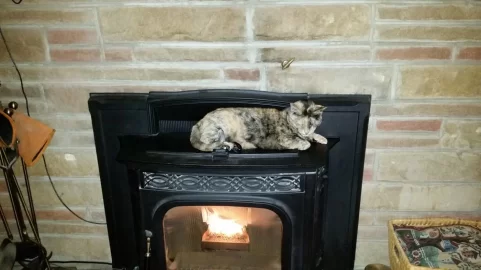 [Hearth.com] pellet stove pets