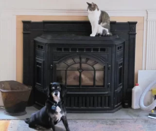 [Hearth.com] pellet stove pets