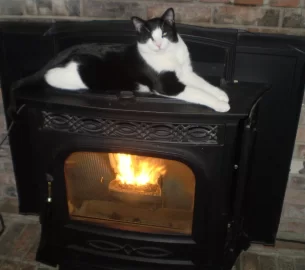 [Hearth.com] pellet stove pets