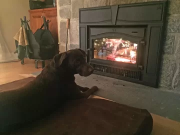 [Hearth.com] Dogs by the fire....