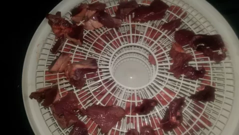 [Hearth.com] homemade dehydrator scooby snacks