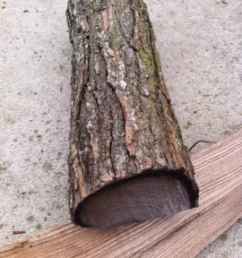 [Hearth.com] Need help identifying firewood.