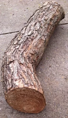 [Hearth.com] Need help identifying firewood.