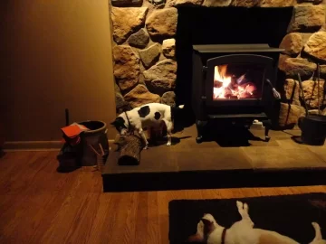 [Hearth.com] Dogs by the fire....