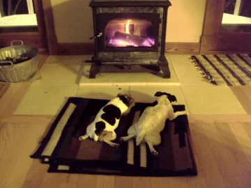 [Hearth.com] Dogs by the fire....