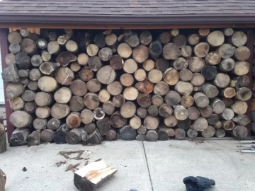 [Hearth.com] Bored and trying to learn my firewood