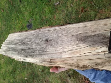 [Hearth.com] Firewood ID Help