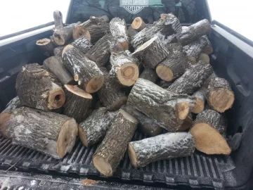 [Hearth.com] First Wood Harvest