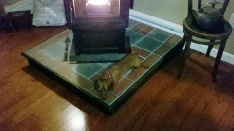 [Hearth.com] Hot dogs by the fire