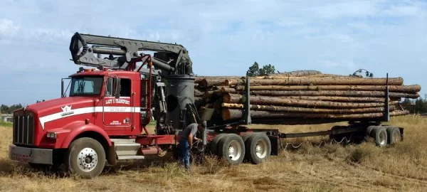 [Hearth.com] how much wood on a logging straight truck with grapple? Pictures of my load!!!