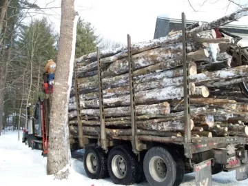 [Hearth.com] how much wood on a logging straight truck with grapple? Pictures of my load!!!