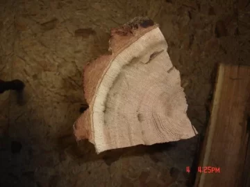 [Hearth.com] I hate Basswood!