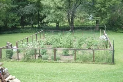 [Hearth.com] Planting a Vegetable Garden