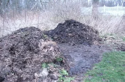 [Hearth.com] Planting a Vegetable Garden