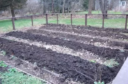 [Hearth.com] Planting a Vegetable Garden