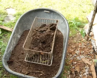 [Hearth.com] Planting a Vegetable Garden