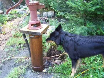 [Hearth.com] Bomb shelter , cesspool/septic tank or buried propane tank ?