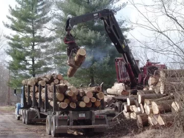 [Hearth.com] Neighbor is getting his land logged?