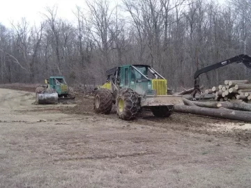 [Hearth.com] Neighbor is getting his land logged?