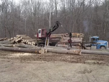 [Hearth.com] Neighbor is getting his land logged?