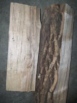 [Hearth.com] wood id help please