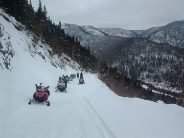 [Hearth.com] Snowmachiners save moose from Avalanche