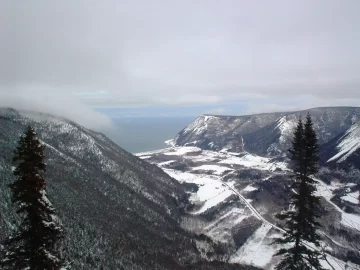 [Hearth.com] Snowmachiners save moose from Avalanche