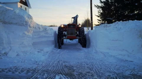 [Hearth.com] Snowmachiners save moose from Avalanche