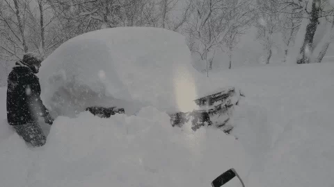 [Hearth.com] Snowmachiners save moose from Avalanche