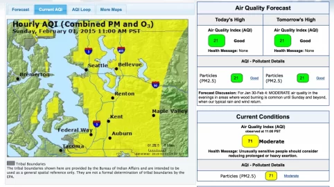 [Hearth.com] Respiratory Dangers from Wood Smoke