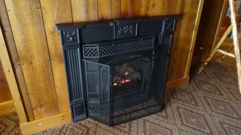 [Hearth.com] Id on a gas unit?