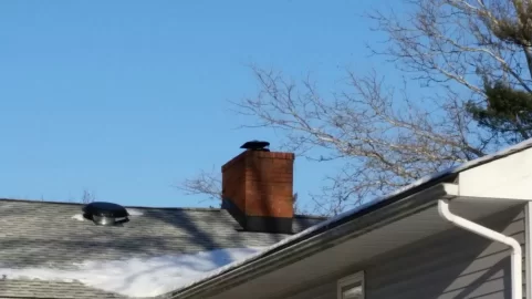 [Hearth.com] Show us your Chimney Exhaust