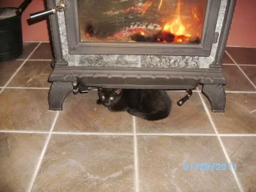 [Hearth.com] A different kind of cat stove?