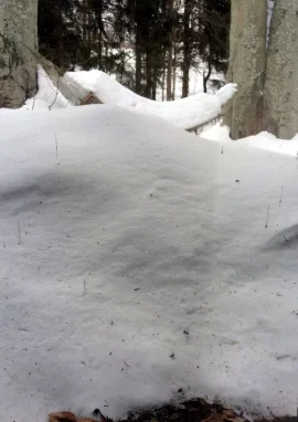 [Hearth.com] Whitfield stand-alone: unburned pellets blocking chute when on HIGH