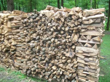 [Hearth.com] sticks in the wood pile