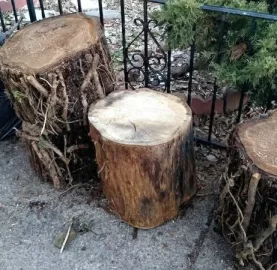 [Hearth.com] Is this Sweet Gum? Thank you all for ID